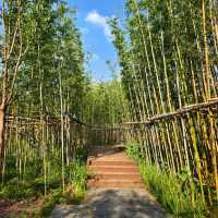 小金井公園：和風與西式的完美交融 🌿🏰