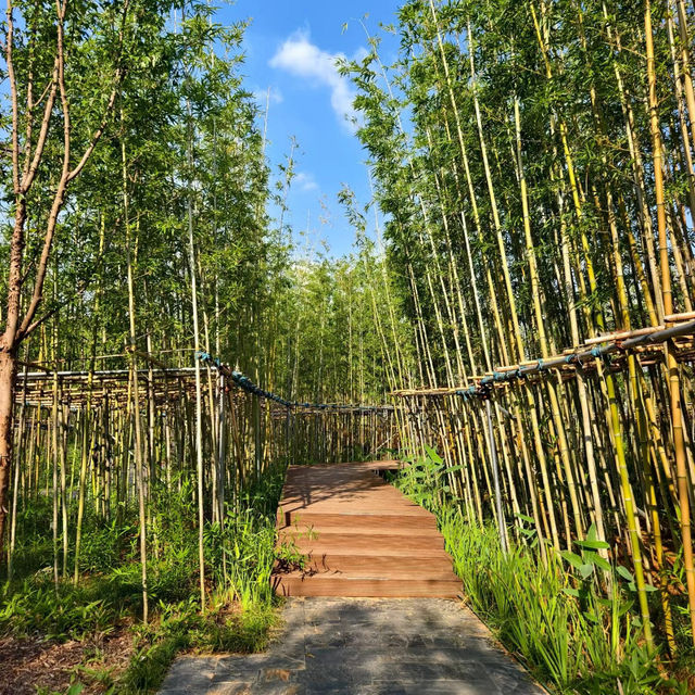 小金井公園：和風與西式的完美交融 🌿🏰