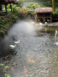 台灣苗栗景點「花露農場 Flower Home」