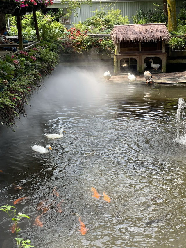 台灣苗栗景點「花露農場 Flower Home」
