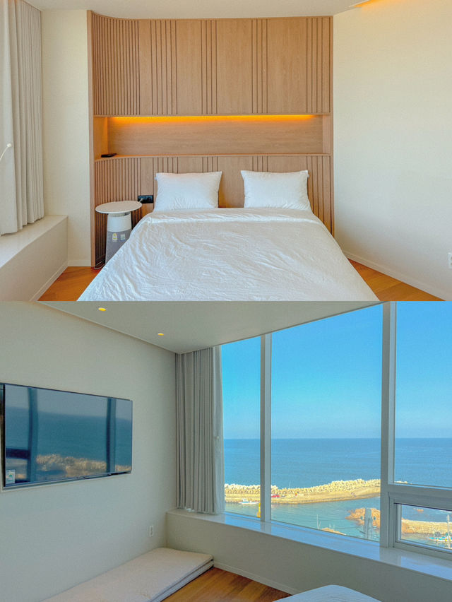 1박에 20만원대, 영덕 해돋이 명소 신상 풀빌라 펜션 ‘빌라빈’🌊🧡
