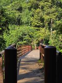 อุทยานแห่งชาติเขาใหญ่