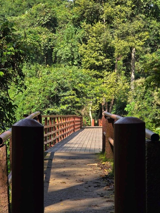 อุทยานแห่งชาติเขาใหญ่