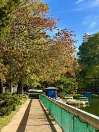 Stunning Autumn Colors at Nakajima Park 🍁