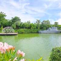 Niagara N Garden | คาเฟ่เครื่องบินสุดชิค ✈️ 