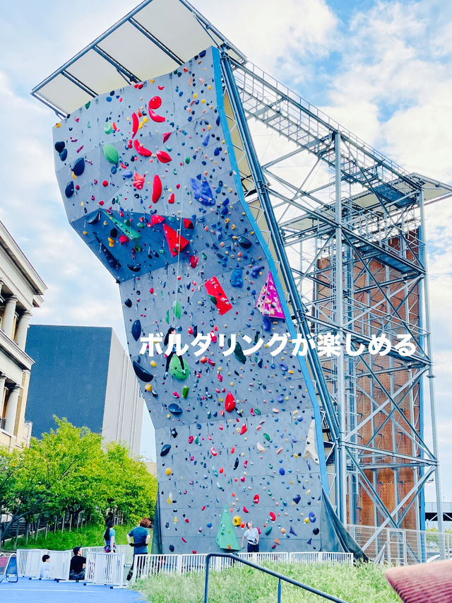 【大阪府:岸和田市】初心者でも体験できる本格的ボルダリング施設