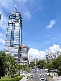 Exploring the Treasures of Shenzhen Library