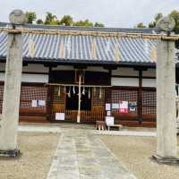 大坂ㅣ參天巨木加持ㅣ有神靈的澁川神社