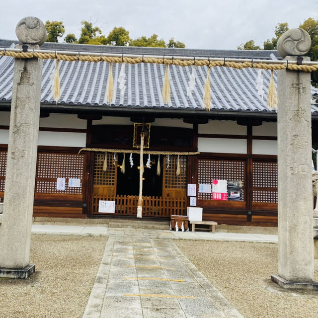 大坂ㅣ參天巨木加持ㅣ有神靈的澁川神社