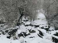 【亞美尼亞】冬季雪🌨️後的千年教堂雪景，絕對拍照出大片！