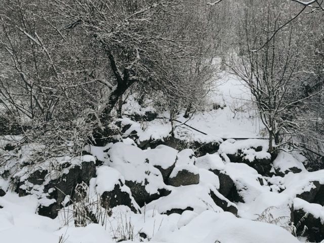 【亞美尼亞】冬季雪🌨️後的千年教堂雪景，絕對拍照出大片！