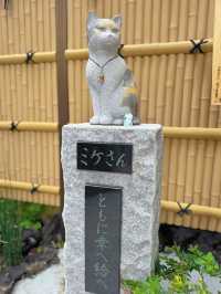 【東京】大事な日の前にここ行って!!日本で唯一の気象神社☀️