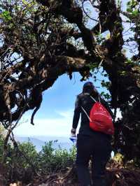 Trekking Ta Xua - top 13th highest moutain in Vietnam