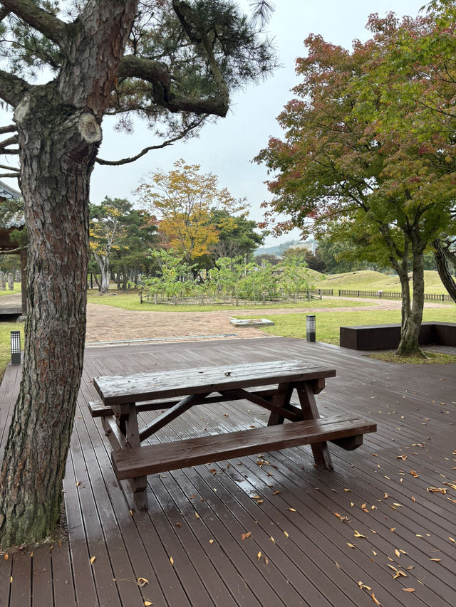 사철 다양한 화초와 나뭇길을 산책할 수 있는 전주국립박물관 😀