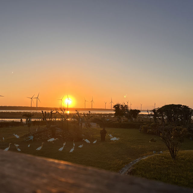 Explore the beauty of Gaomei Wetland Taichung