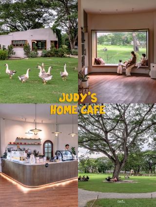 JUDY'S HOME คาเฟ่เมืองลำพูนกับน้องห่านสุดน่ารัก