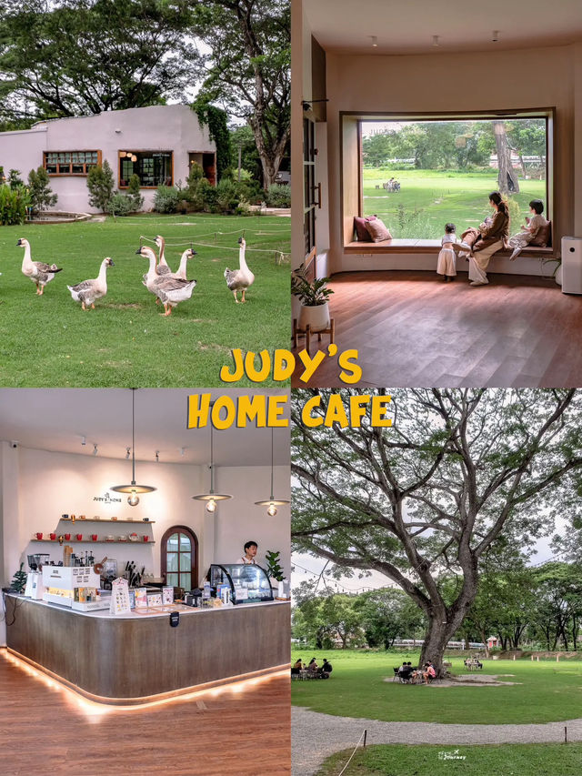 JUDY'S HOME คาเฟ่เมืองลำพูนกับน้องห่านสุดน่ารัก