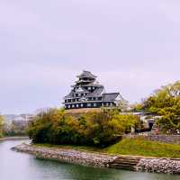 Black Castle Wonder: My Adventure Through Okayama’s Samurai History!