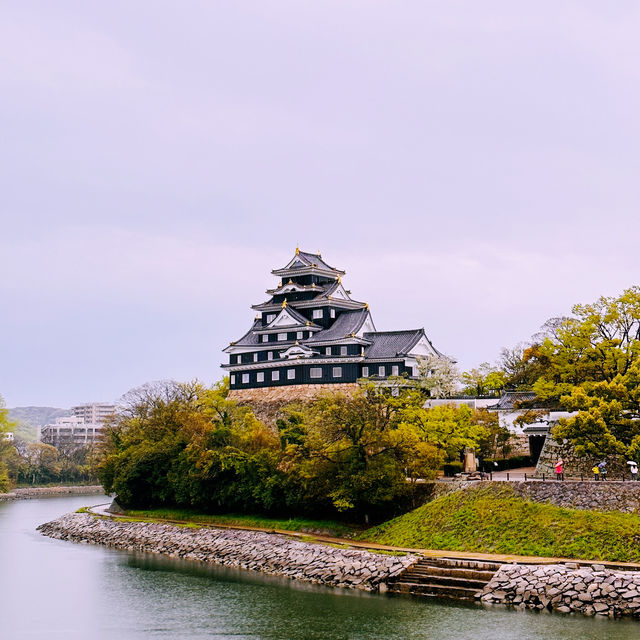 Black Castle Wonder: My Adventure Through Okayama’s Samurai History!