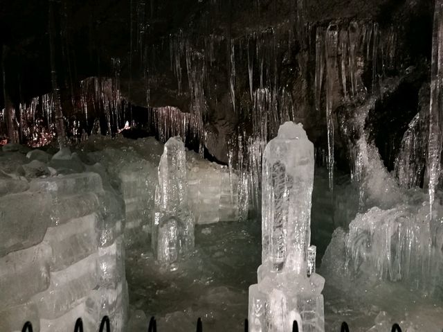 各種角度都美的富士山！不用自駕也能來東京近郊郊遊吧