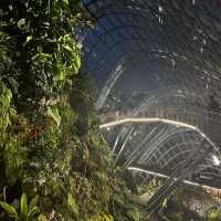 Garden of Eden?!