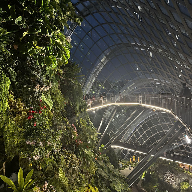 Garden of Eden?!