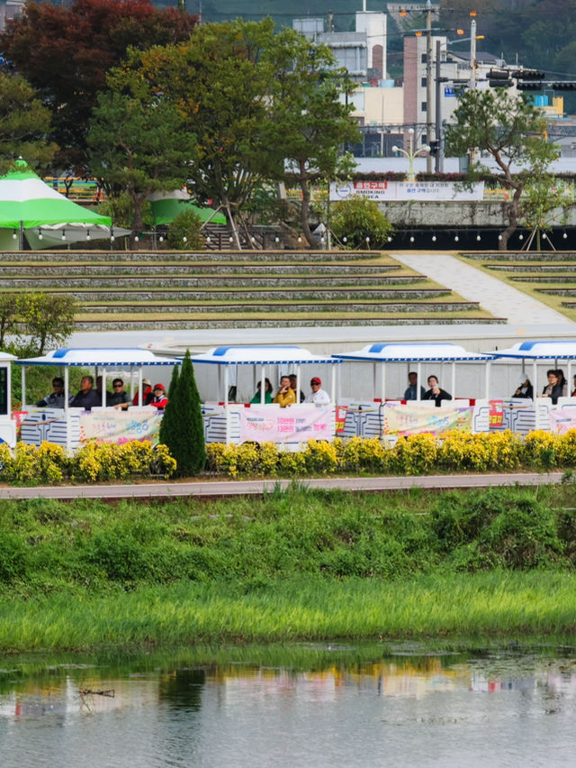 꽃들을 바라보며 산책할 수 있는 장성 황룡강