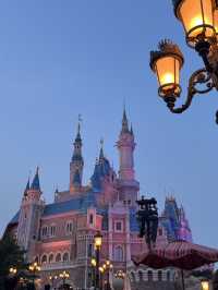 【2024年最新】上海ディズニーアトラクション・ショー正直レビュー&完全攻略！  