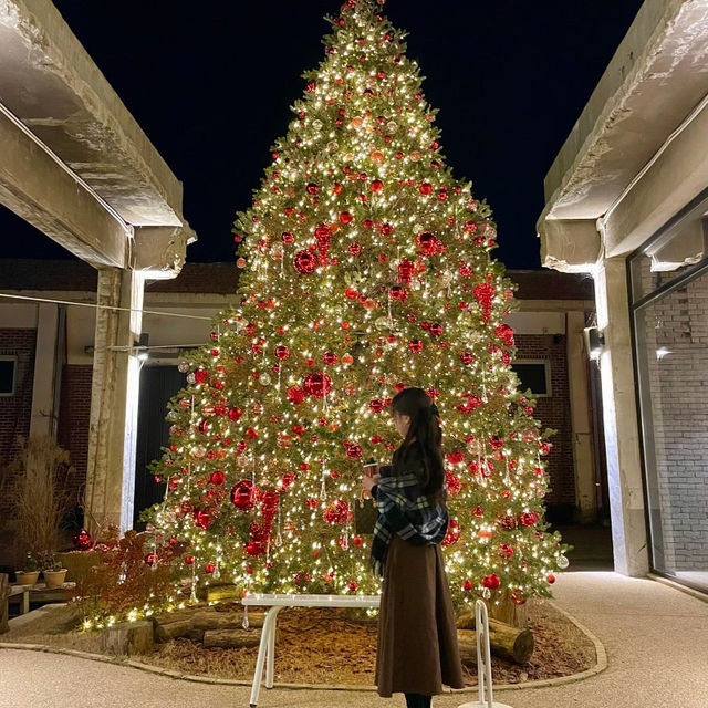 역시 크리스마스 카페는 어가길베이커리🎄