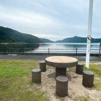 【佐伯】貝類、お刺身🐟が安い！新鮮！✨