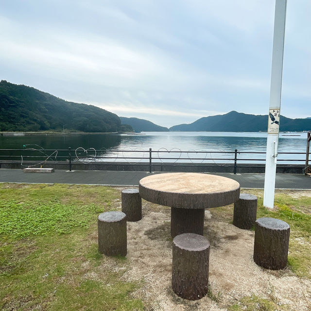 【佐伯】貝類、お刺身🐟が安い！新鮮！✨