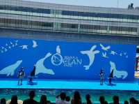 Manila Ocean Park