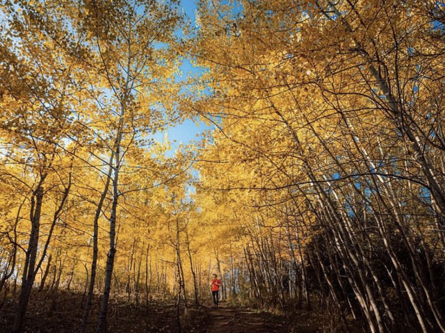 Exploring Kazakhstan’s Big Almaty Lake: A Scenic Autumn Escape