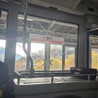 Fall foliage viewing in Late October at Kurobe Dam