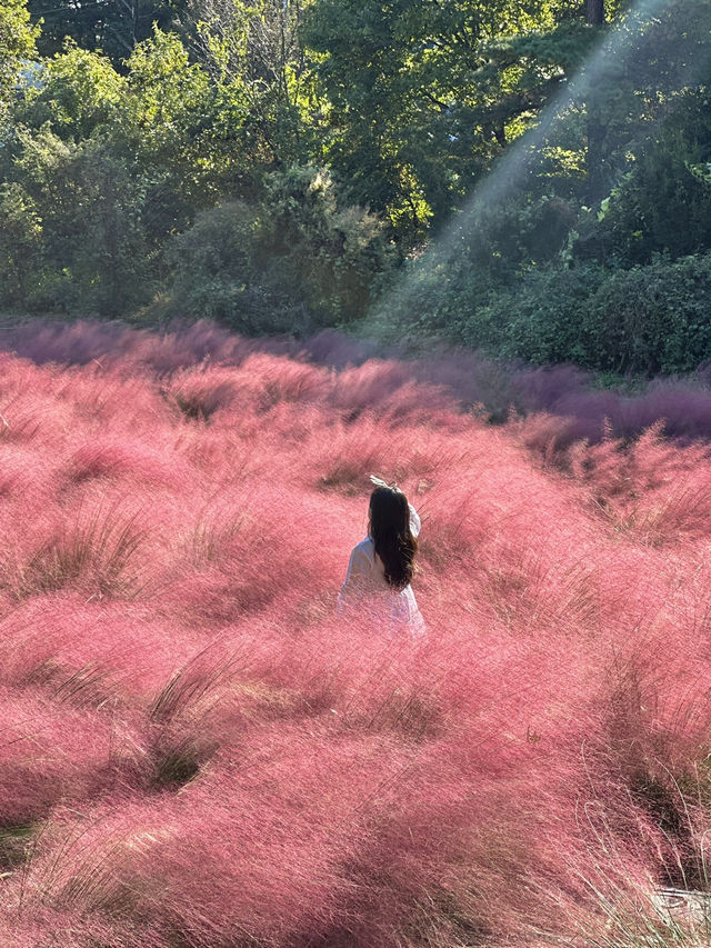 가을 데이트 코스로 딱인 의왕 왕송호수 💗