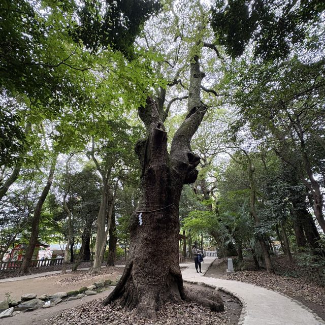 ⛩️神戶 生田神社 繪馬是愛心❤️跟熊熊🐻造型 超卡哇伊