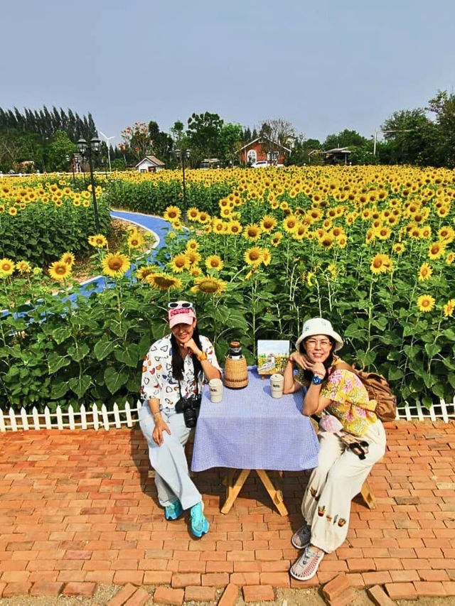 🤩 Baan Rai Nai Rung