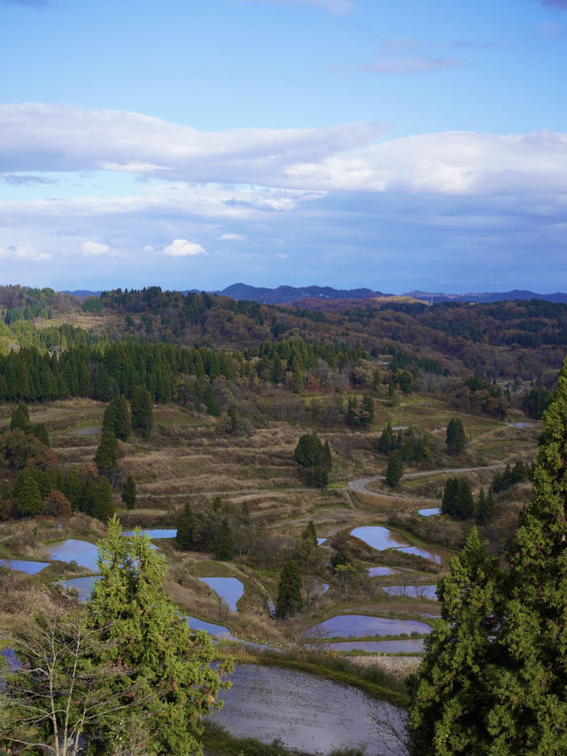 【新潟×日本の絶景】  大小様々な棚田が作り出す光景  運よければ雲海も・・