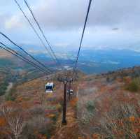 ใบไม้เปลี่ยนสี ที่ภูเขาอาดาจิทาระ ญี่ปุ่น