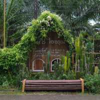 Mood ดี บรรยากาศสุดใจฟู 🏠🌴🍃