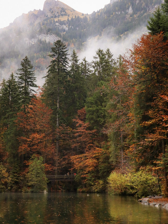 瑞士🇨🇭｜藍湖（Blausee）的靜謐之美