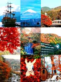 東京箱根🍁紅葉之旅🍁2天之行