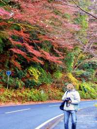 東京箱根🍁紅葉之旅🍁2天之行