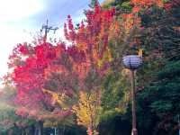 สวนสัตว์และพฤกษศาสตร์ฮิงาชิยามา 東山動植物園