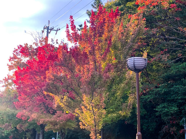 สวนสัตว์และพฤกษศาสตร์ฮิงาชิยามา 東山動植物園