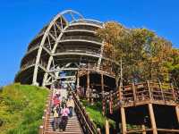 Take a glimpse of the serene beauty at Mancheonha Skywalk