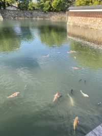 Day Trip to Hiroshima: A Journey Through History and Culture