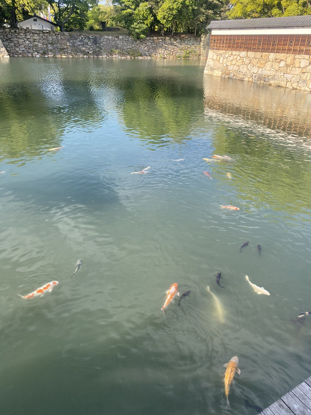 Day Trip to Hiroshima: A Journey Through History and Culture
