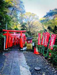 【神奈川県/鎌倉　白狐の置物がたくさん並ぶ神秘的な場所『佐助稲荷神社』】