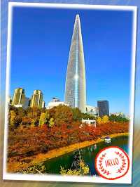 令人目不暇給的秋天美景